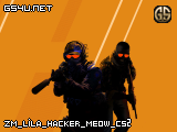 zm_lila_hacker_meow_cs2