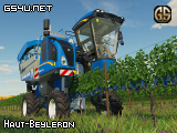 Haut-Beyleron