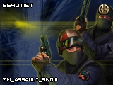 zm_assault_snow